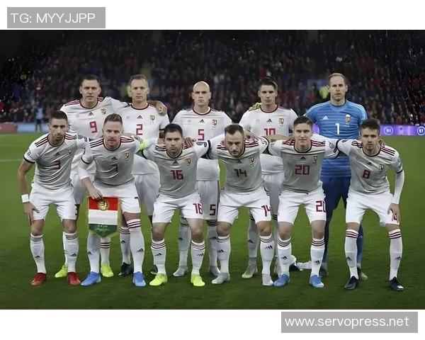 俄罗斯篮球对决匈牙利球队精彩瞬间回顾与分析 俄罗斯篮球对决匈牙利球队精彩瞬间回顾与分析