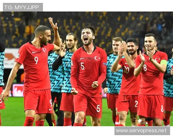 威尔士与美国足球对决全方位分析及赛前预测