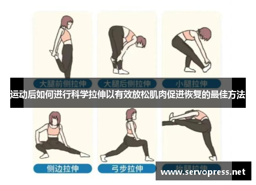 运动后如何进行科学拉伸以有效放松肌肉促进恢复的最佳方法