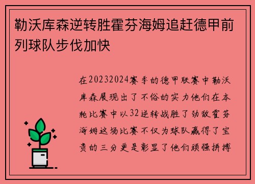 勒沃库森逆转胜霍芬海姆追赶德甲前列球队步伐加快