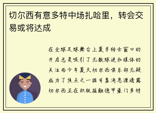切尔西有意多特中场扎哈里，转会交易或将达成